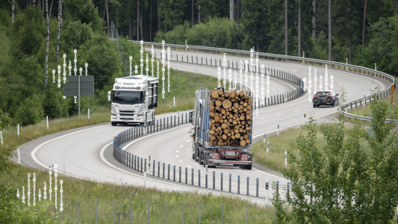 Trucks driving on a road with forest around