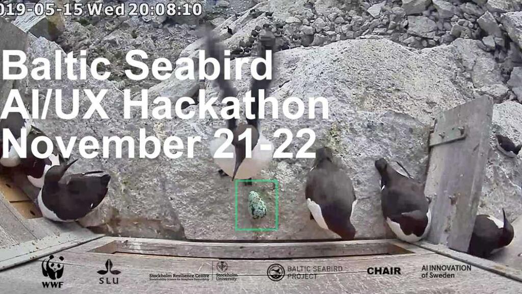 baltic seabird hackaton