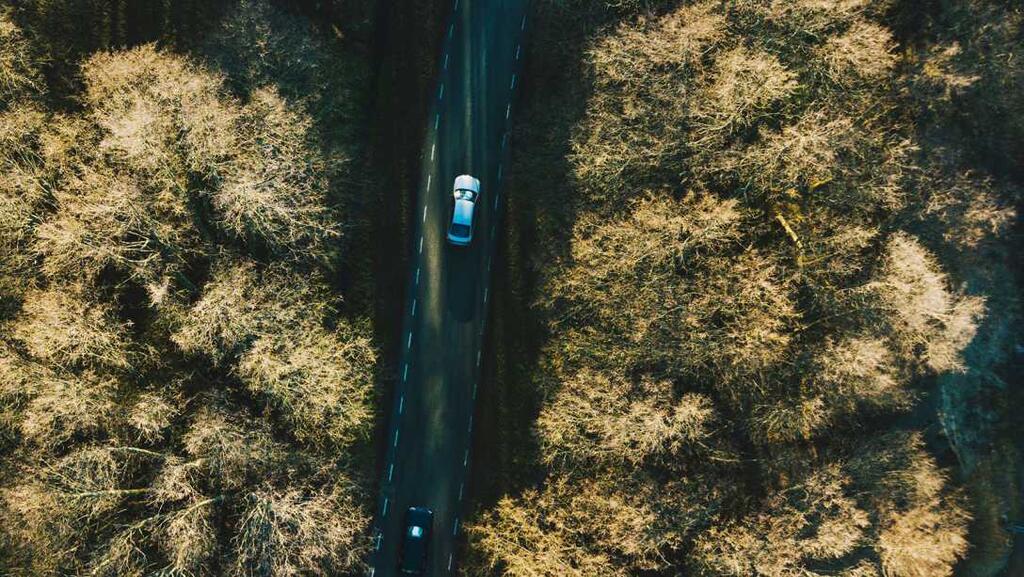 a light coloured car pictured from above driving through a forest